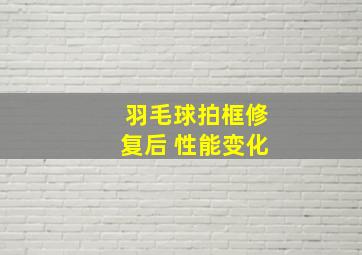 羽毛球拍框修复后 性能变化